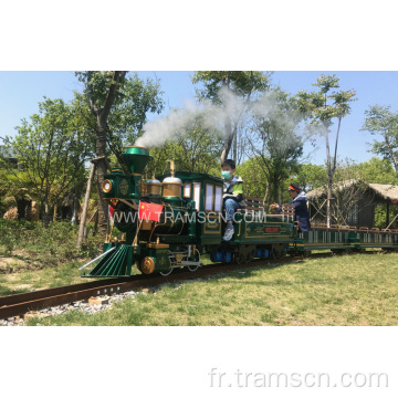 Trains de jeux de terrain de jeux